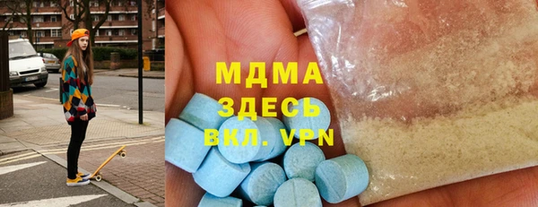 индика Горнозаводск