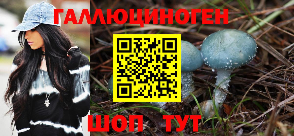 как найти   Псилоцибиновые грибы мицелий  Вход с VPN  Елабуга 